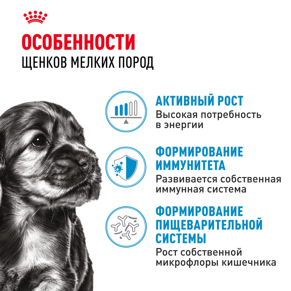 Royal Canin Mini Puppy Корм консервированный для щенков мелких пород в возрасте до 10 месяцев, кусочки в соусе - 85 гр