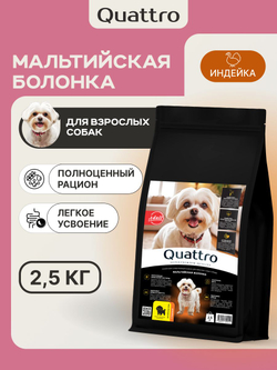 Корм сухой для взрослых собак породы Мальтийская болонка, с индейкой, 2,5 кг, QUATTRO