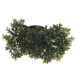 GAEM Цветочная композиция, L28 W15,5 H26 см