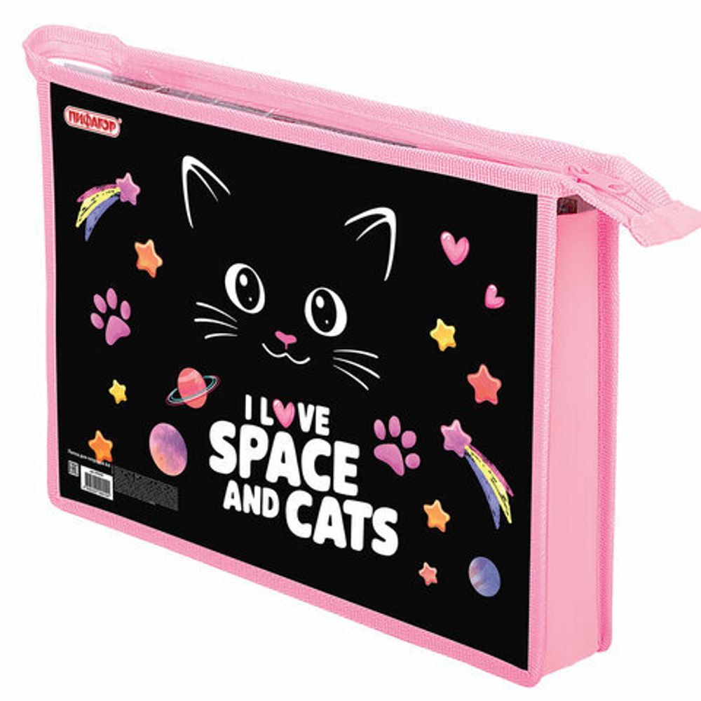 Папка для тетрадей ПИФАГОР А4, 1 отделение, картон/пластик, на молнии, "Dark kitten", 273339