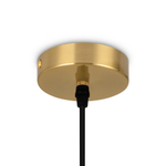 Подвесной светильник Freya FR5387PL-L14BS