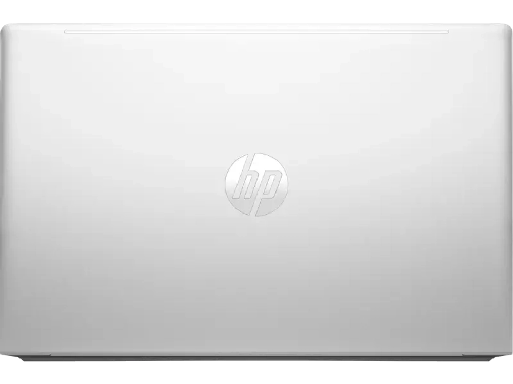 Ноутбук HP Probook 450 G10 (816C8EA)