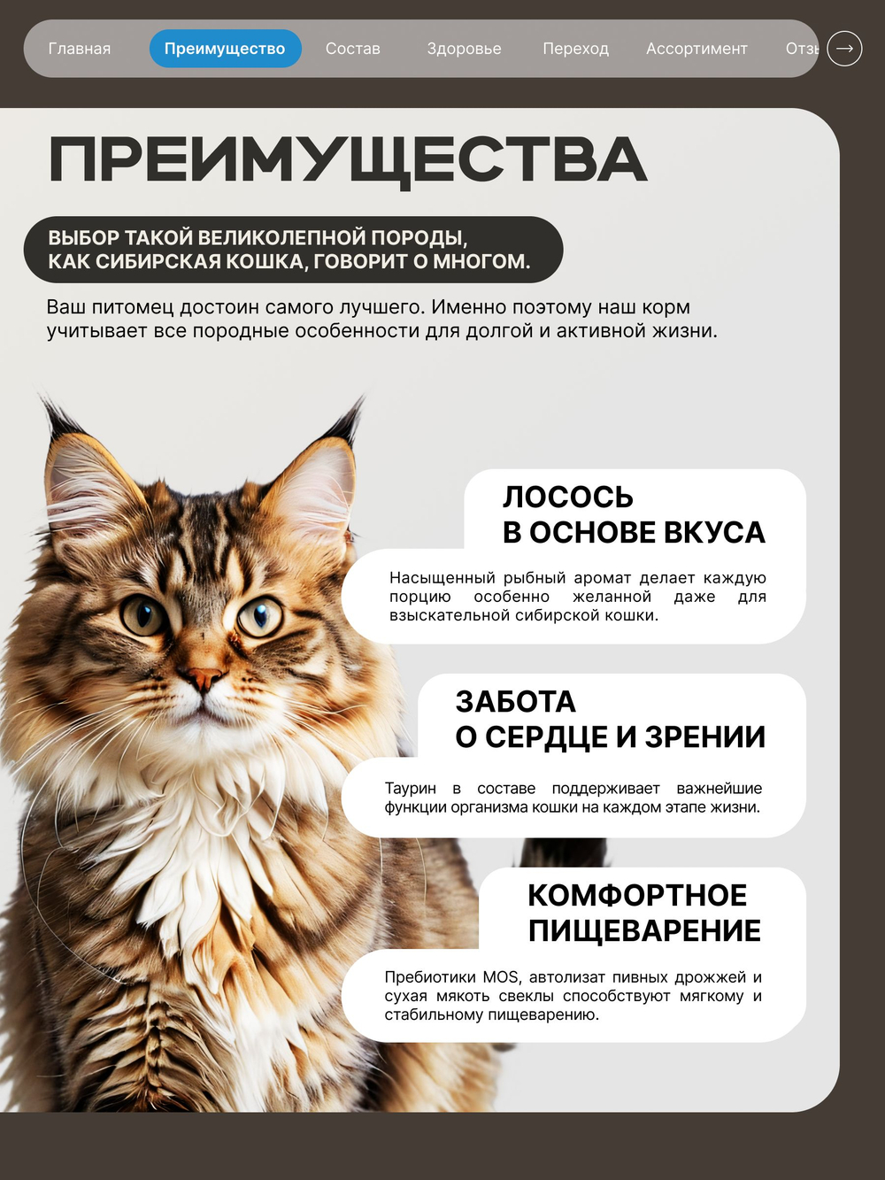 Корм сухой для взрослых кошек породы Сибирская кошка, с лососем, 2 кг, QUATTRO