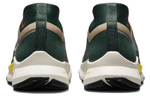 Кроссовки Nike Pegasus Trail 4 Gore-Tex