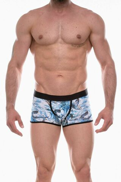 Мужские трусы-боксеры с принтом в виде китов (Размер: L) (Цвет: голубой)