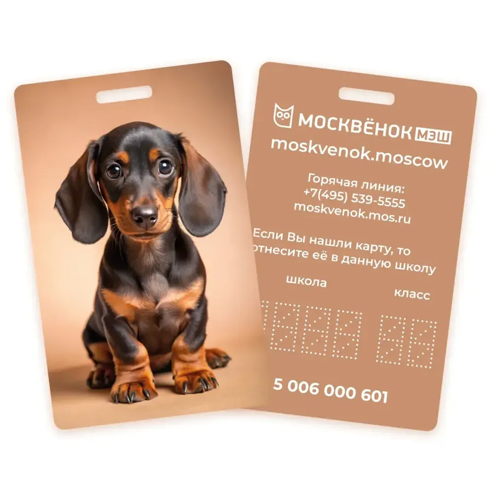 Карта Москвёнок DOGS №7 (проход + питание)