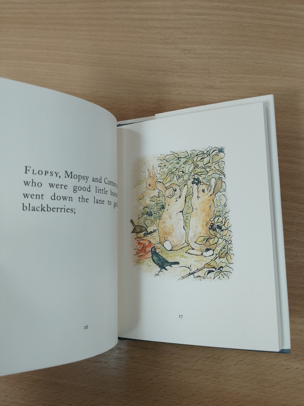 The Tale of Peter Rabbit