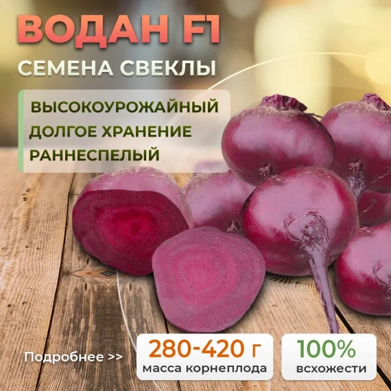 ВОДАН F1 семена свеклы (Bejo | Alexagro) – фото 1