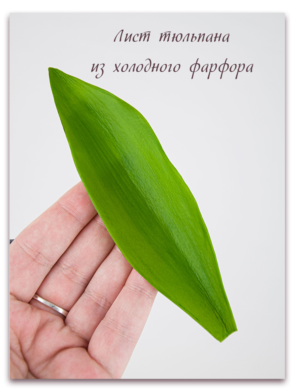 Комплект для лепки тюльпанов