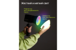 Осветитель светодиодный Raylab RL-40RGB-DR 2500K-6500K 3400mAh c рефлектором и диффузором