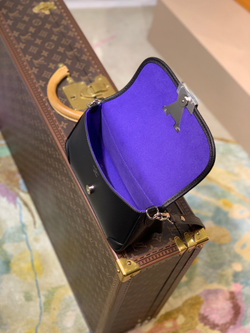 Louis Vuitton Buci Bag