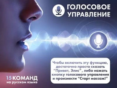 Массажное кресло FUJIMO 氣 FLEXOR F500 Бежевый,Коричневый