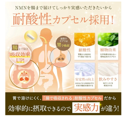Высокоочищенный NMN Комплекс c высокой концентрацией Shin Nihon Health NMN 50 000, на 50-150 дней.