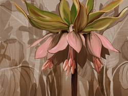 Коллекция SOLO