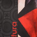 Мужская футболка темно-серая с принтом Sesmik by Vlad Sedov VS002/VS0052