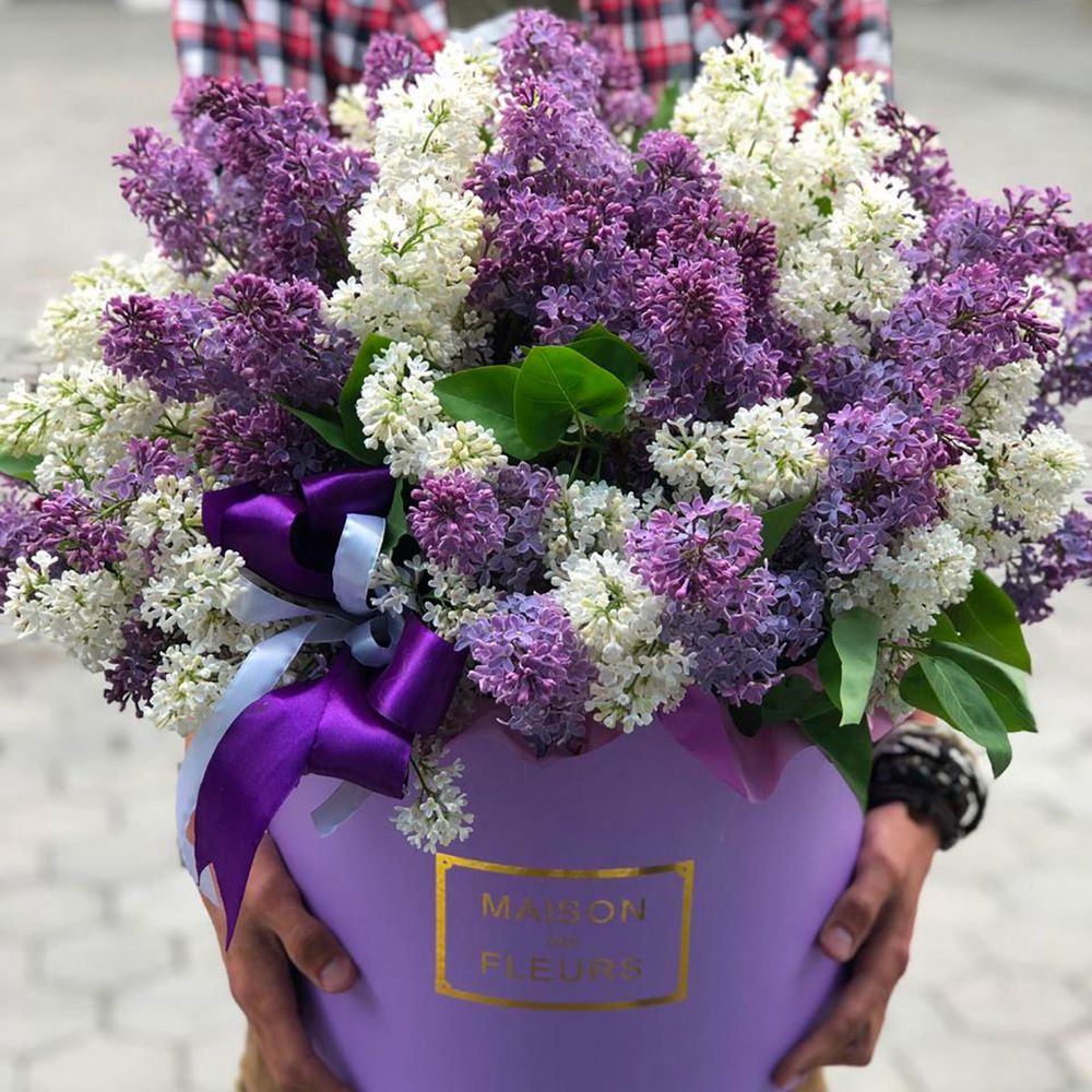 Лиловое облако