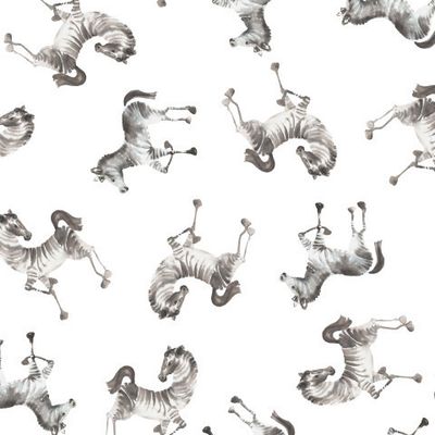 Зебры на белом фоне