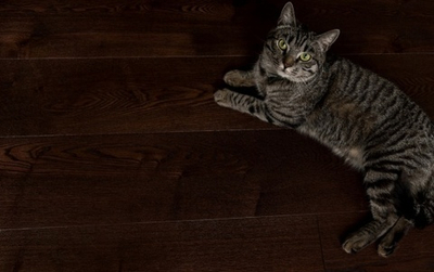 Паркетная доска Ясень Кофе Браш Лак 14х189х1860 мм