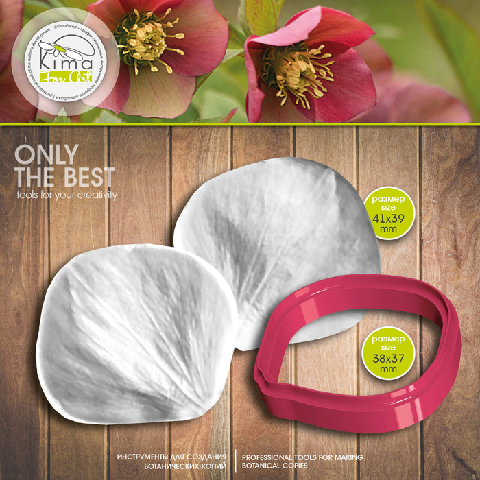 Морозник лепесток большой круглый