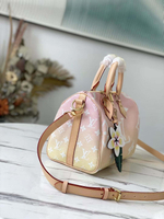 Louis Vuitton Speedy 25