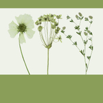 Дизайнерские обои Wall Street GreenDay