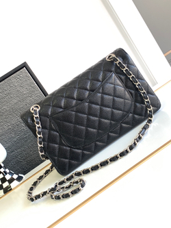 Chanel Bag 25 cm