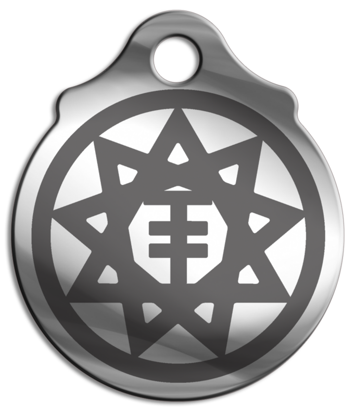 Амулет Славянский зодиак № 10 Чертог Лисы, медицинская сталь