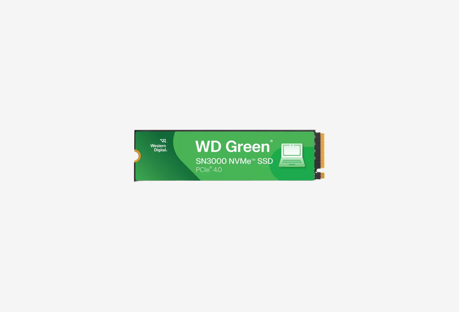 WDS100T4G0E_0226531102012