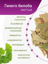 Гинкго билоба