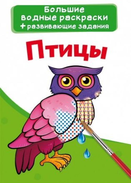 Большие водные раскраски. Птицы  Раскраски. Аппликации  Кристалл СЗКЭО