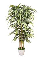 Дерево Бамбук 150см в кашпо