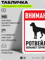 Табличка "Внимание, ротвейлер охраняет территорию" на дверь и забор, для двора, дома, подъезда, 40х30 см, Silver Plane x Айдентика Технолоджи
