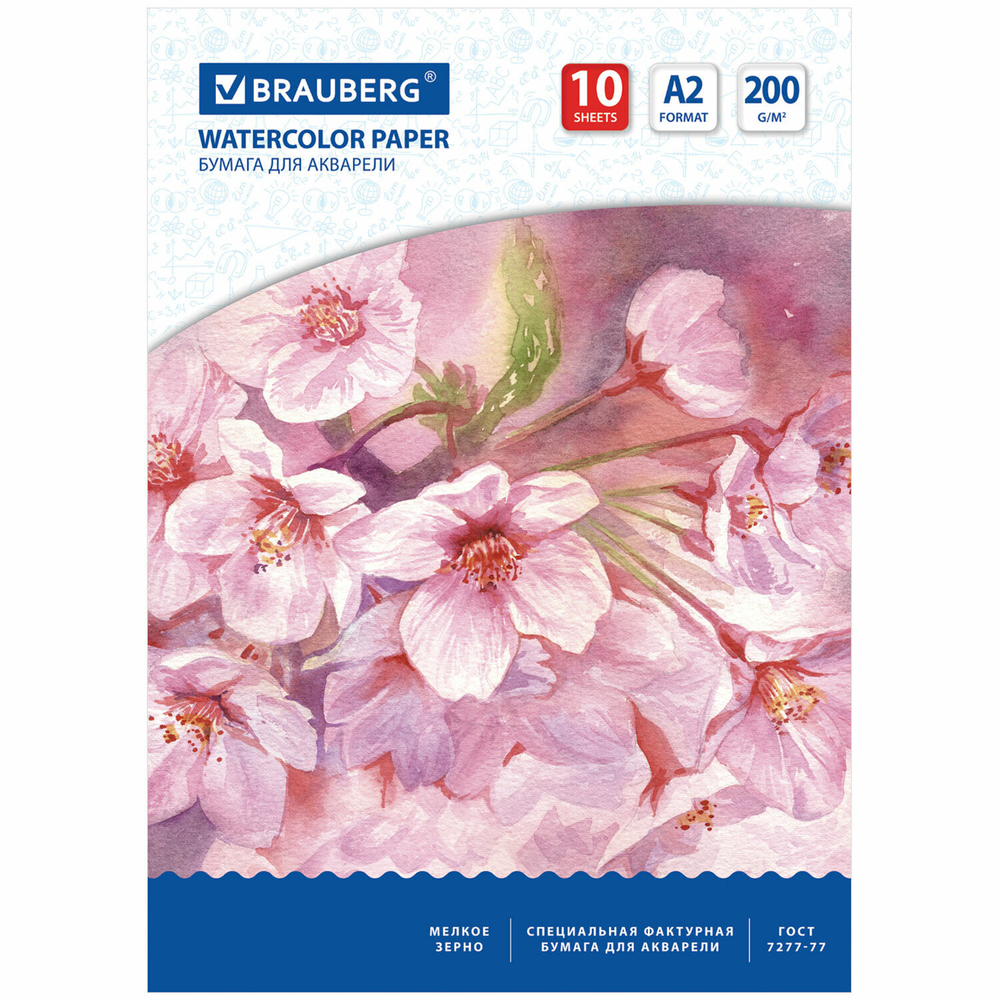 Бумага для акварели БОЛЬШАЯ А2 10 л. 200 г/м2 400х590 мм BRAUBERG "Цветы" (3 штуки в упаковке)