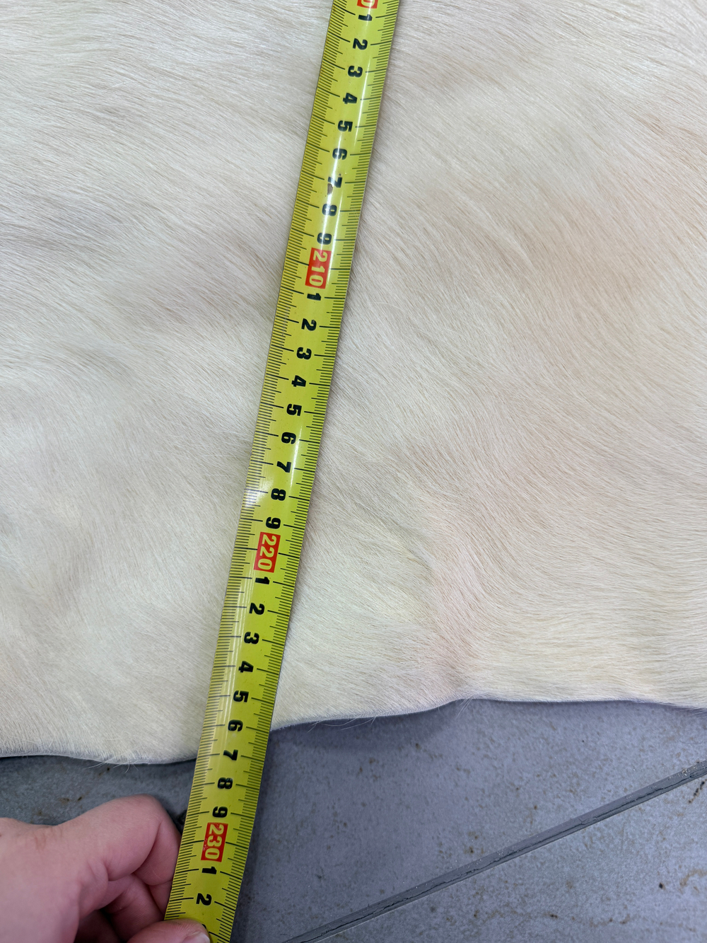 Коровья шкура на пол натуральная. 200 х 190 см