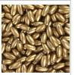 Бусы пластиковые -4мм-25г-Colibry