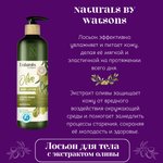 🌿 Лосьон для тела с экстрактом оливы🌼