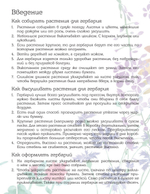 Мой первый гербарий. Цветы и листья