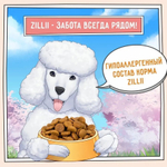 Сухой корм для собак ZILLII Dog Adult 3кг белая рыба и лосось