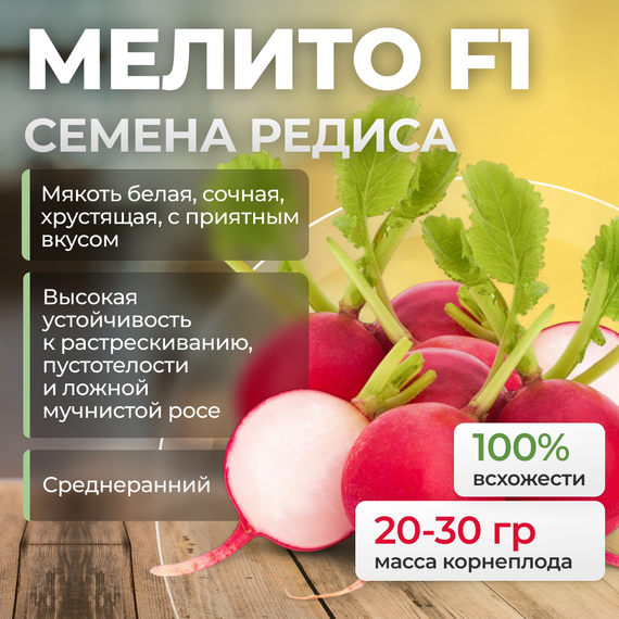 МЕЛИТО F1 семена редиса (Hazera) культура