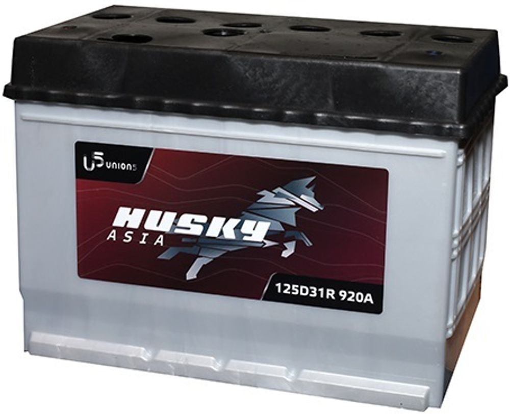 HUSKY Asia 6CT- 100 SMF аккумулятор