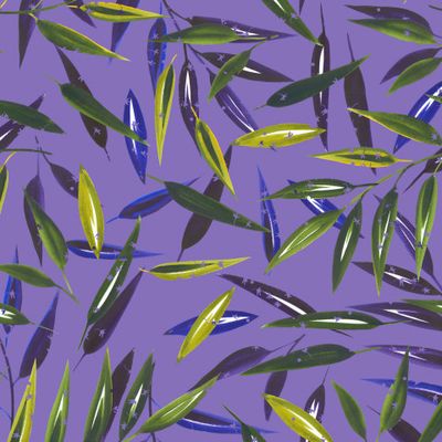 Листья софоры на фиолетовом фоне