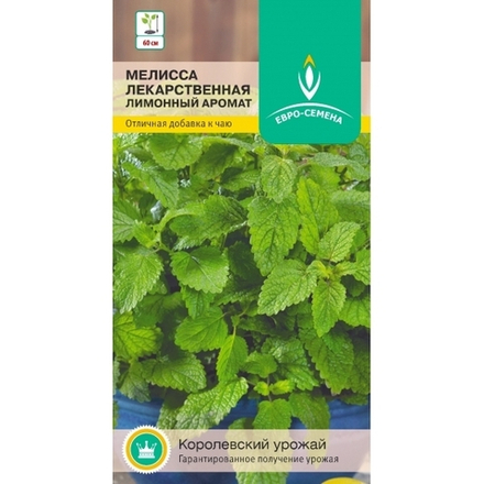 Мелисса лимонная