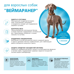 Корм сухой для взрослых собак породы Веймаранер, премиум полнорационный комплекс, с лососем, 2,5 кг, QUATTRO