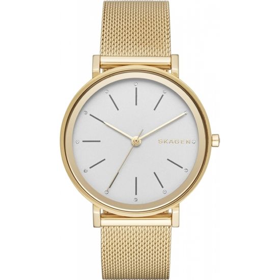 Наручные часы Skagen SKW2509