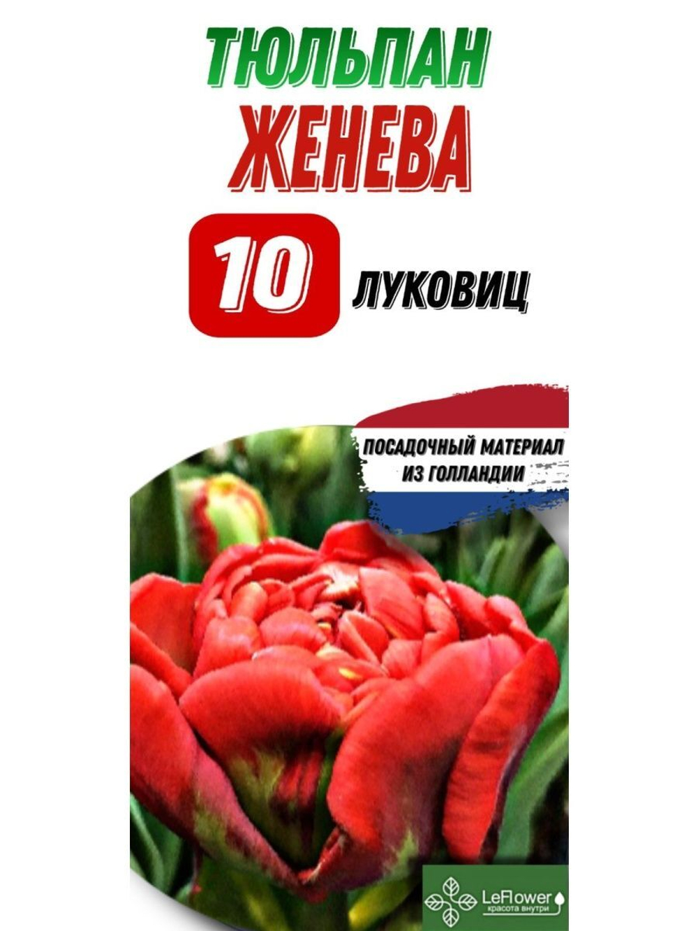 Тюльпан Луковица, Женева, 10шт