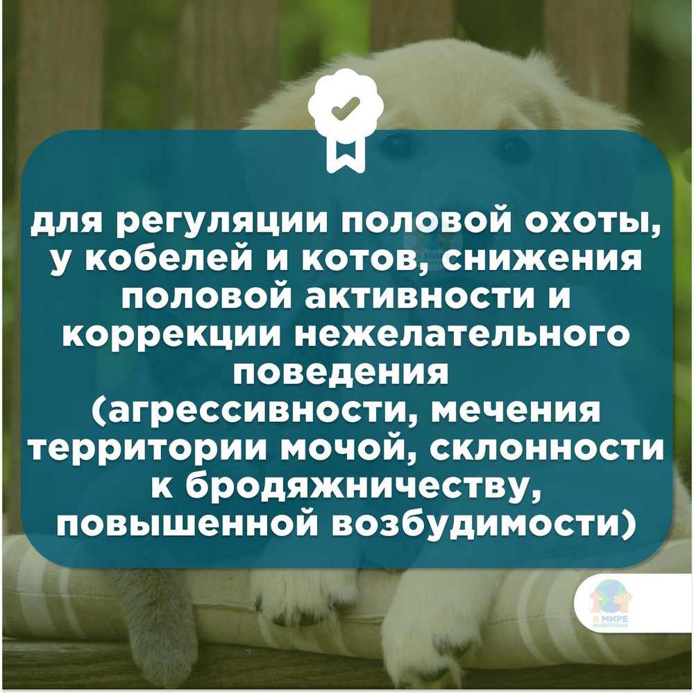 АВЗ Средство для регуляции половой охоты ЭКС-7,5, для кошек и собак, 5 мл. Мегестрол ацетат.