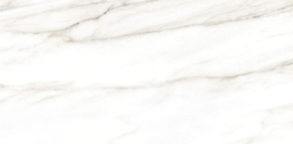 TWU2550EPH04 плитка облицовочная Euphoria 249*500