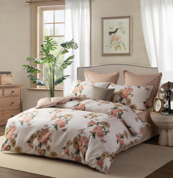 Постельное белье СайлиД B-229 сатин