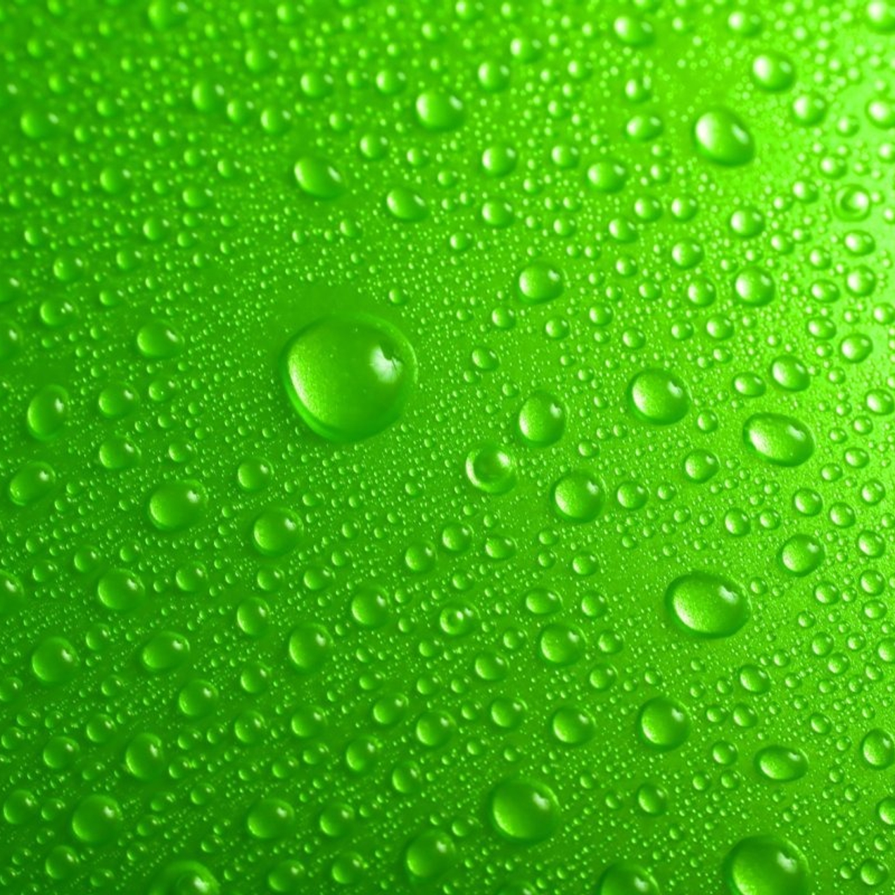 Оптовые продажи шоколада 