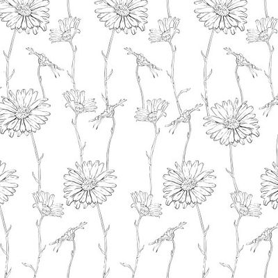 Ромашки в линиях